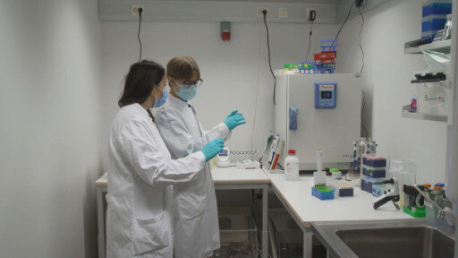 Finnische Forscher entwickeln ein Nasenspray, das kurzfristigen Schutz gegen das Coronavirus bietet. 