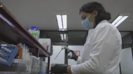 Eine junge Mikrobiologin forscht an einem biopharmazeutisches Mittel zur Behandlung von Sars-CoV-2.