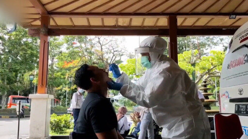 Gefahr einer so genannten Twindemic durch gleichzeitige Sars-CoV-2 und Influenza-Infektion