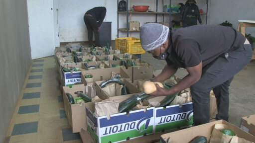 Zimbabwe food delivery startup provides safe food access for many during the pandemic.
