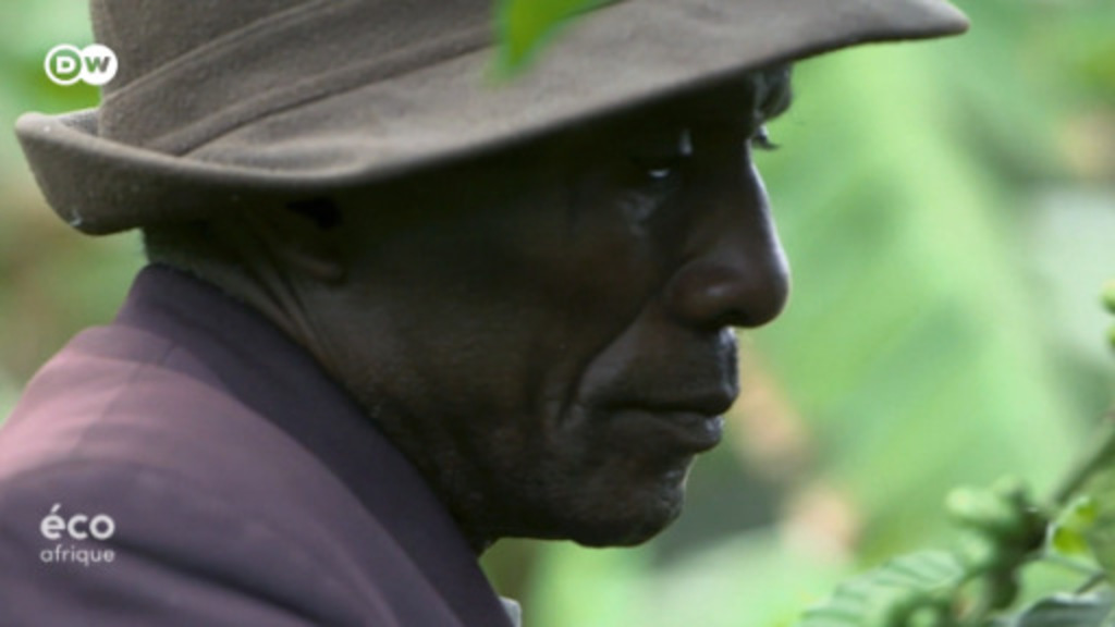 Reforestation réussie en Ouganda