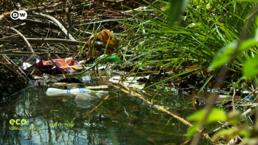 Contaminación en Quintana Roo 