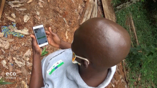 Na Floresta Nacional do Bia, Gana, uma ONG desenvolveu um aplicativo que monitora o abate ilegal de madeira.