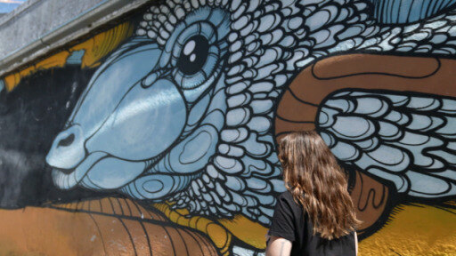 Streetart in Covilhã – zahlreiche Wandbilder zum Thema Wolle schmücken die portugiesische Stadt.