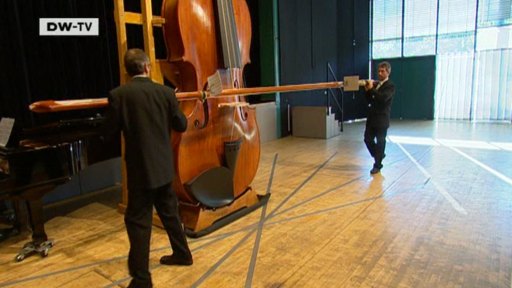 Biggest violin in store the world