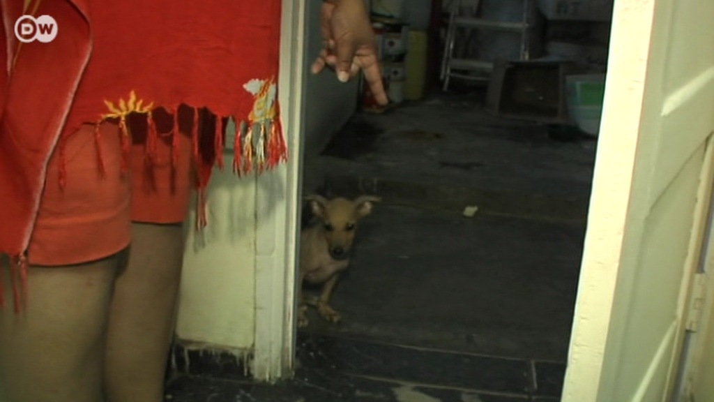 Globales Wohnzimmer - ein Besuch bei Christina aus Maputo/Mosambik