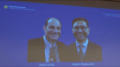 فاز العالم الأميركي ديفيد جوليوس ومواطنه المتحدّر من أصل لبناني أرمني أردِم باتابوتيان بجائزة نوبل للطب لعام 2021.