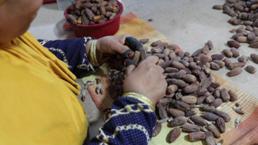 تعد تونس من اهم منتجي التمور. وتتركز مزارع النخيل في جنوب البلاد حيث تشهد المنطقة مع حلول رمضان حركة تسويق نشطة.