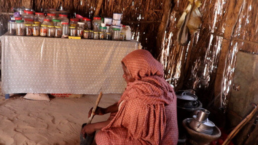 الحرب في أوكرانيا تتسبب بارتفاع أسعار المواد الغذائية عالميا خاصة في مناطق النزاعات مثل دارفور في السودان