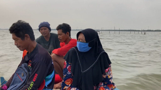يحاول السكان في جاوا الوسطى بأندونيسيا إلى إنقاذ قراهم من مياه الفيضانات من خلال استعادة غابة المنغروف.
