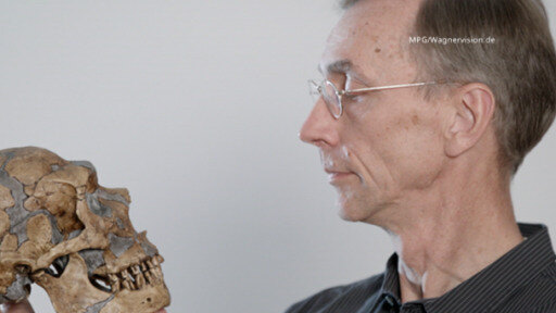Der schwedische Wissenschaftler wird für seine Arbeit an der Sequenzierung des Genoms des Neandertalers geehrt.