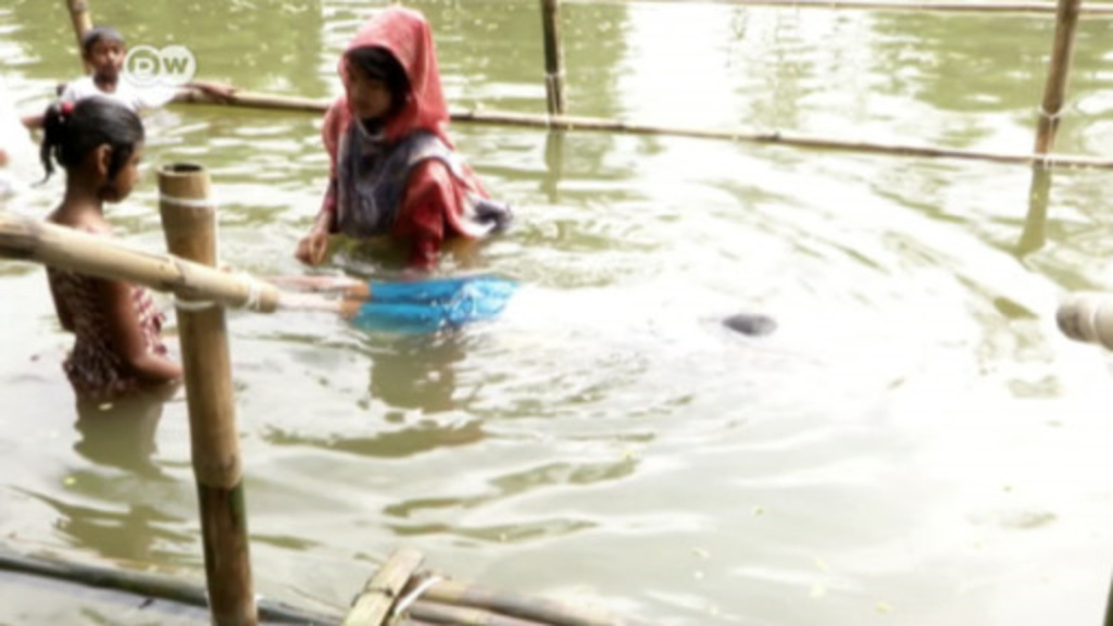 Learning To Swim In Bangladesh – Dw – 11 17 2017