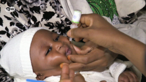 Nigeria looks set to be declared free of poliovirus this month by the World Health Organization. 