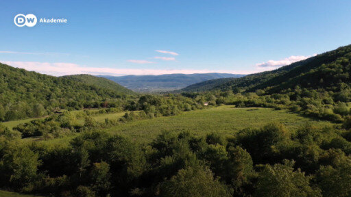 Thanks to Aleksandre and Mtisambebi.ge, hundreds of children in Georgia can now participate in online classes.