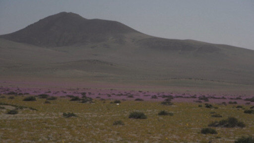 El desierto de Atacama es un laboratorio natural para prepararse ante un futuro escenario bajo el cambio climático.