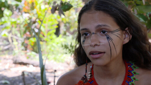Jóvenes indígenes tratan de detener el avance de la deforestación de la selva tropical impulsada por Bolsonaro.