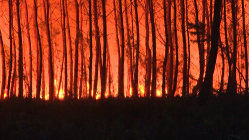 España y Francia luchan contra varios incendios Forestales y contra una ola de calor que ahora amenaza a Reino Unido.