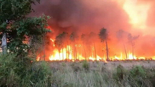 España registra ya 360 personas muertas a causa de la ola de calor. Incendios forestales arrasan el suroeste de Europa.