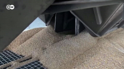Tras varios meses de bloqueo, Ucrania podrá volver a exportar sus cereales.