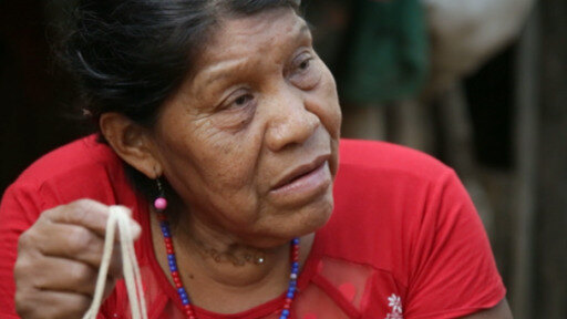 La deforestación es la principal amenaza para los ayoreo, indígenas que habitan el Gran Chaco, algunos en aislamiento.