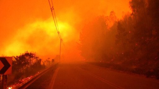 Los incendios forestales en Chile ya dejaron más de 20 muertos. Estado de Catástrofe en Ñuble, Biobío y la Araucanía.