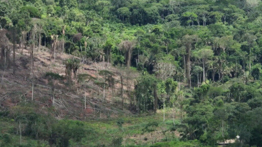 El enviado especial para el clima de EE. UU. ha viajado a Brasil para abordar la cooperación para proteger la Amazonia.