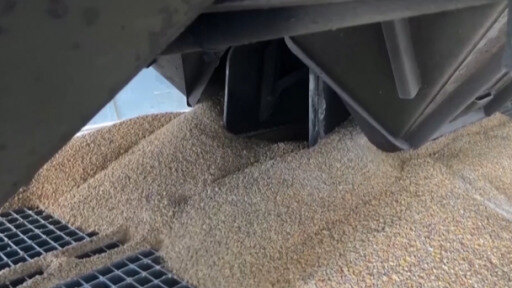 La Comisión Europea confía en “resolver” los “cuellos de botella” que dificultan el tránsito de grano ucraniano.