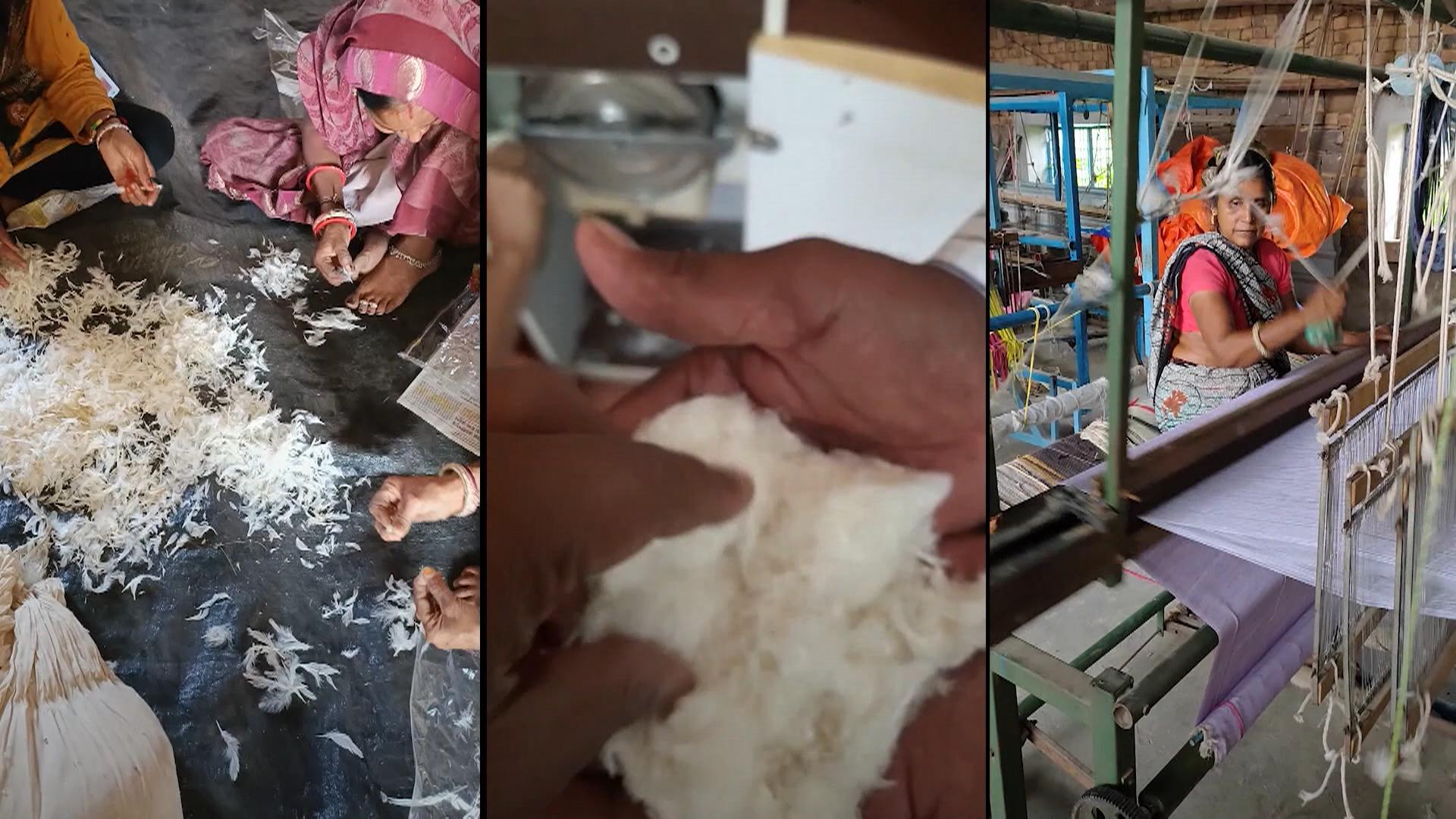 India Recycling chicken feathers helps tribal women DW 05/24/2023