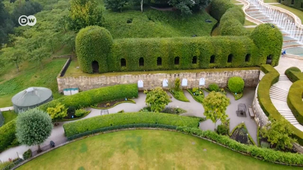 В градината на най-отровните растения