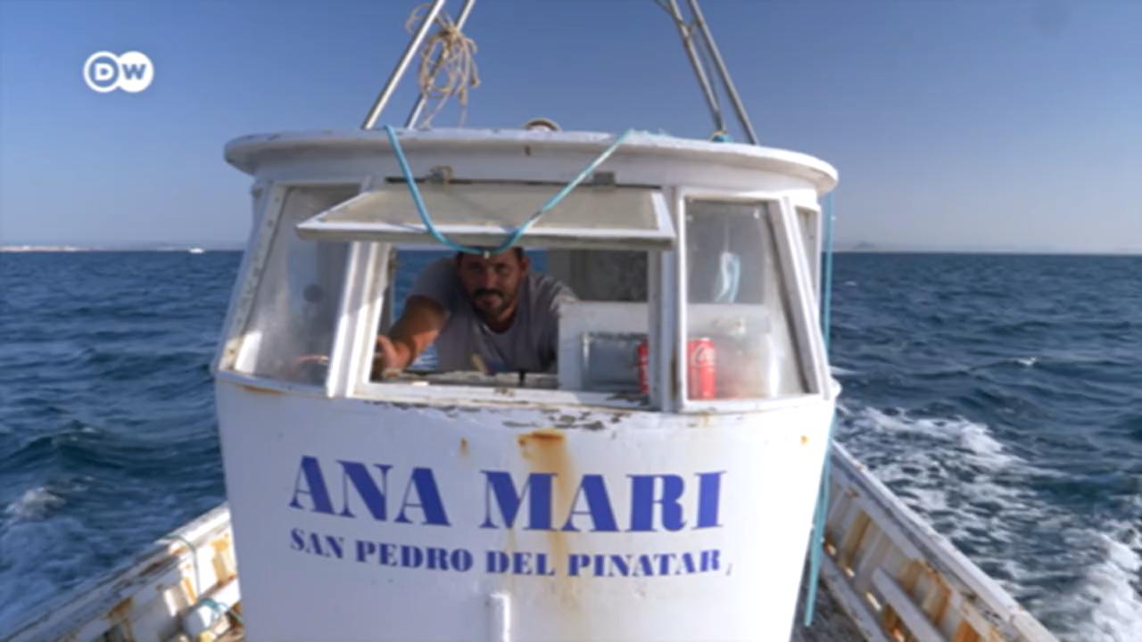 Spanien: Umweltkatastrophe im Mar Menor