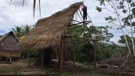 Cómo construir una casa en la selva amazónica | Derechos Humanos | DW |  