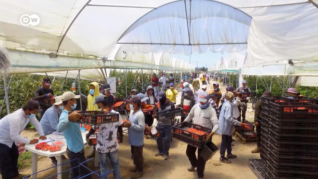 Πορτογαλία: Επτά χρόνια εργάτης για το διαβατήριο της ΕΕ