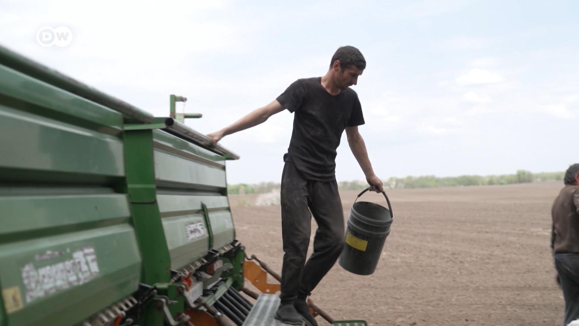 Ένα ακόμη εμπόδιο στην αγροτική παραγωγή της Ουκρανίας: οι νάρκες στα χωράφια. Ακόμη, η DW στο Ντονμπάς #Εuropeo
