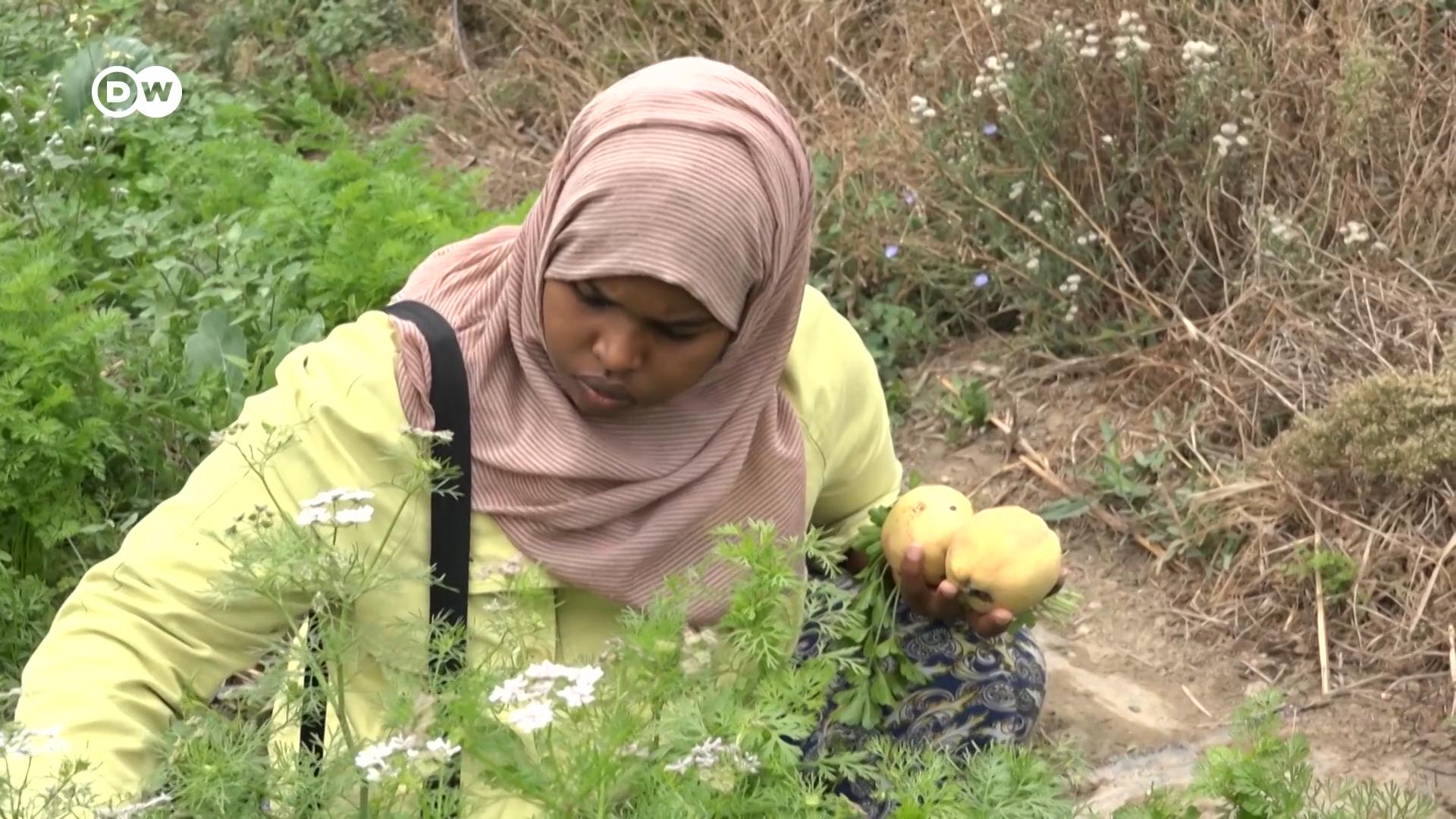 Πρόσφυγες φτιάχνουν κήπους στη Λέσβο
