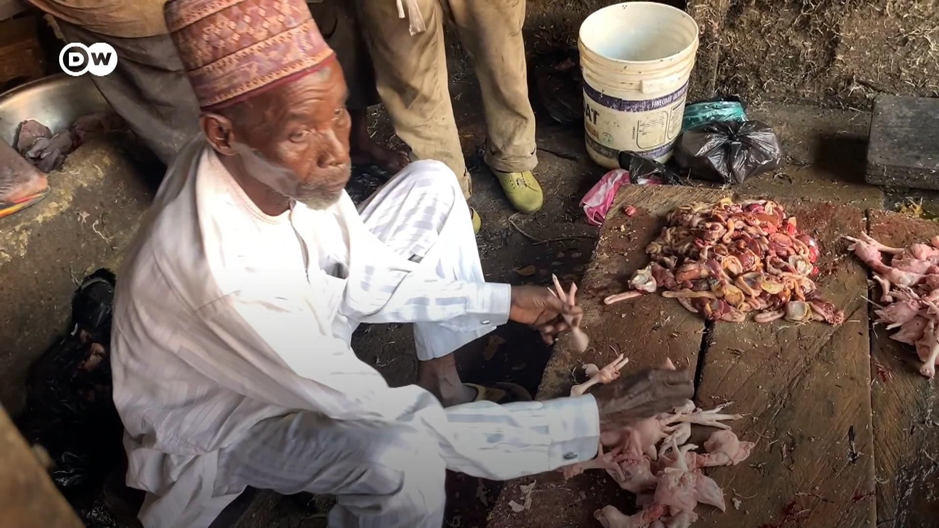 Yadda na gina gida da sana'ar figar kaji a jihar Borno - Dattijo 