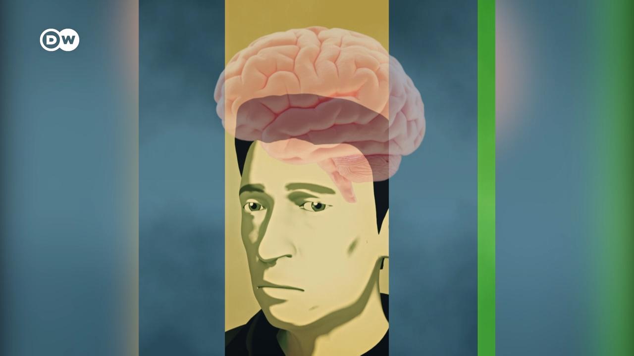 हमारा दिमाग कैसे काम करता है