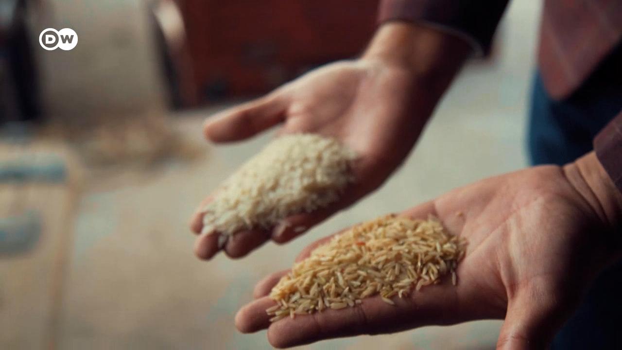 पाकिस्तानी चावल पर 'मेड इन इंडिया' का ठप्पा क्यों