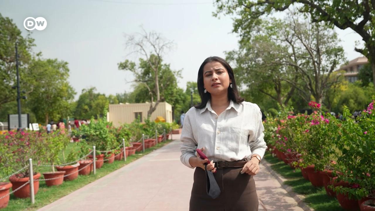 ईको इंडिया 380: पर्यावरण सखियां और ऑस्ट्रिया में ऑलिव