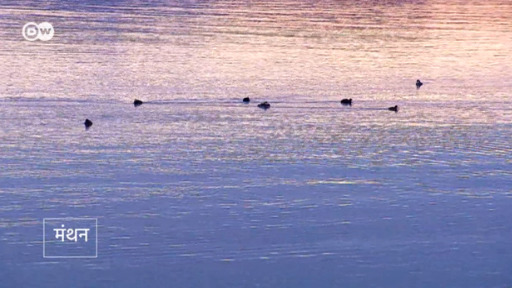 डोनेशिया की एक रिसर्चर ने पता लगाया है कि झीलों में जीवन फूंकने के लिए में क्या किया जा सकता है.