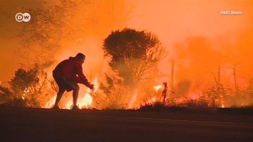 Seorang pria menyelamatkan seekor kelinci liar dari amukan api yang membakar hutan di California. 