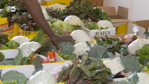 Em Harare, uma startup que entrega alimentos frescos teve uma explosão de encomendas durante a pandemia da Covid-19.