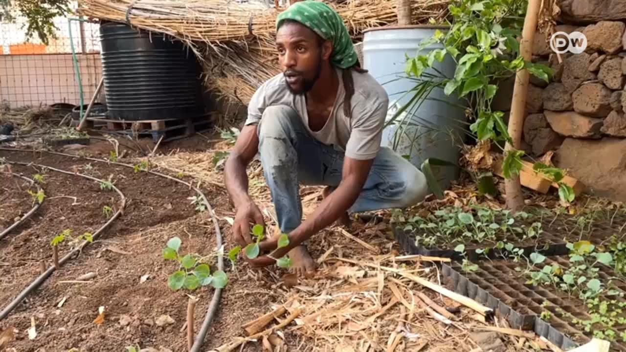 Em Cabo Verde, associação de jovens está a criar hortas comunitárias para combater a insegurança alimentar.