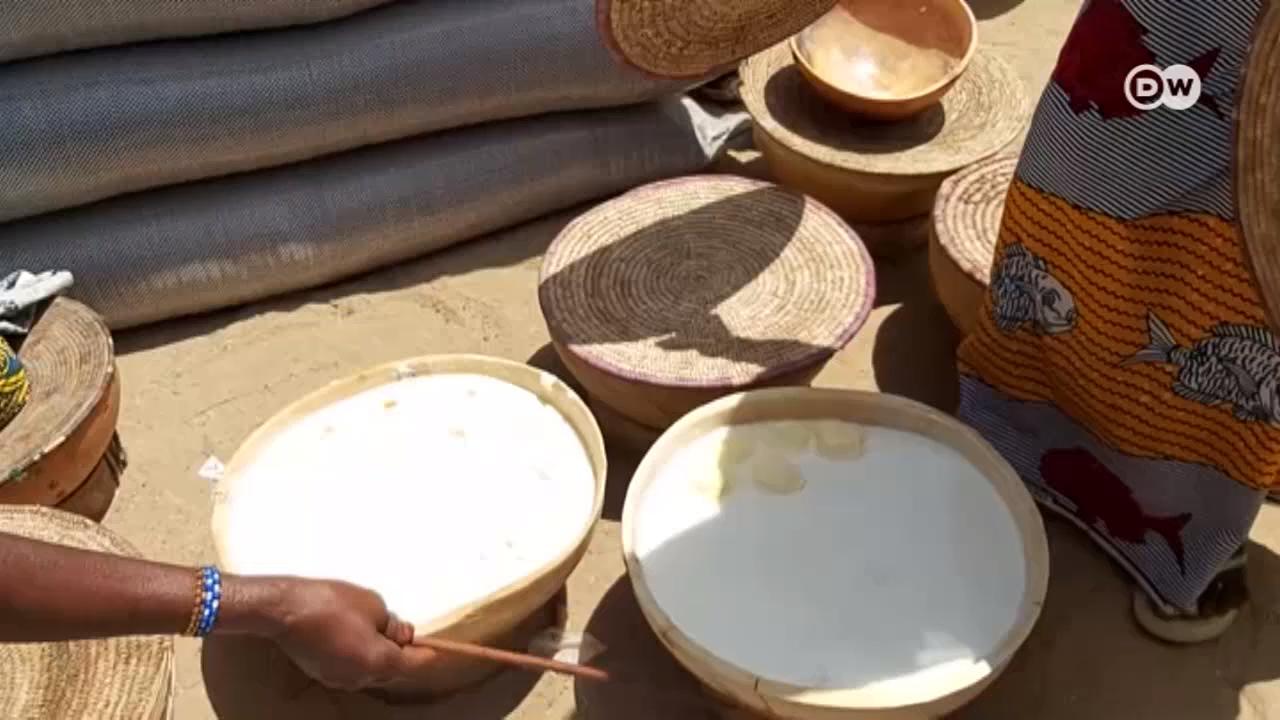Conheça as mulheres Fulani, que vendem leite aos comerciantes do povo Hauçá, apesar dos conflitos entre estes grupos. 