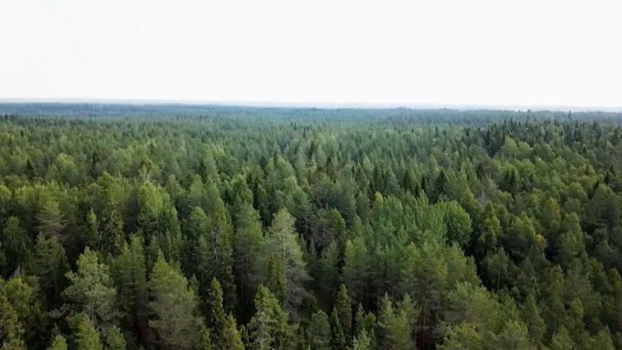 Protecția mediului în Finlanda: o poveste de succes 