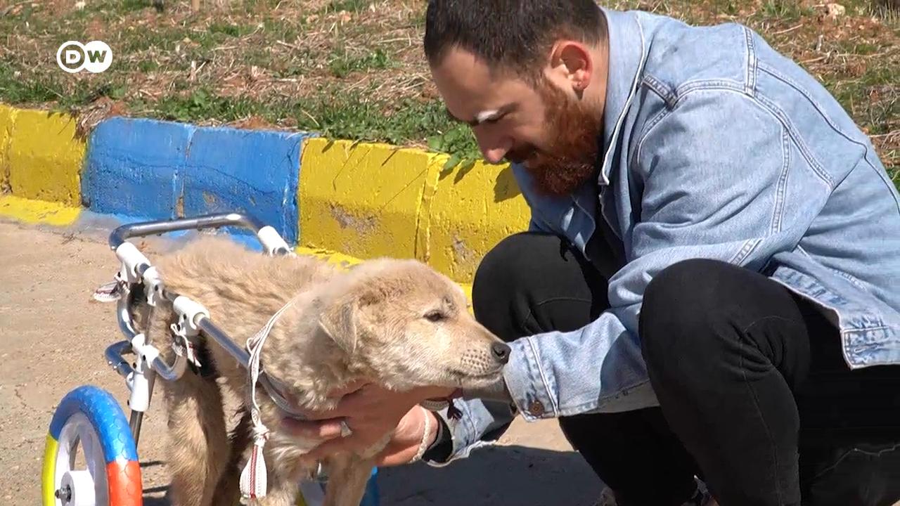 Engelli kedi ve köpeklerin kurtarıcısı Mardinli Hasan Kızıl
