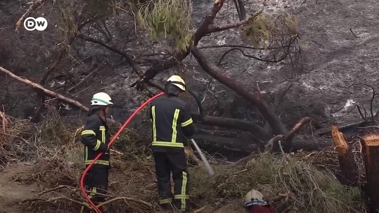 Пожежники з України допомагають гасити пожежі у Греції (13.08.2021)
