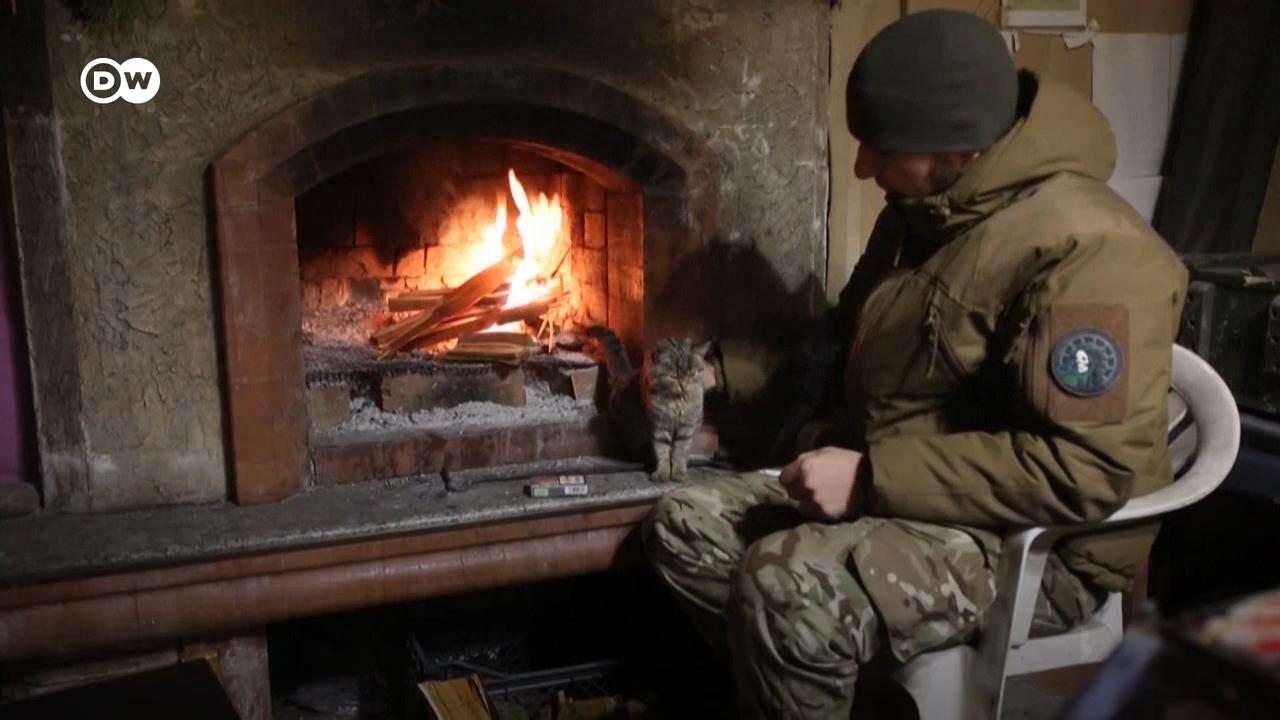Солдати розповідають, що собаки і кішки на передовій попереджають про можливі обстріли, а також знімають стрес.