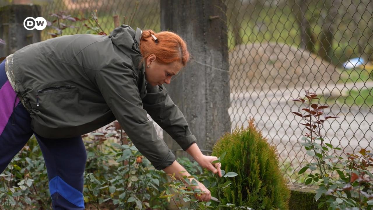 Як село на Закарпатті приваблює малий бізнес і ВПО – DW – 22.12.2025