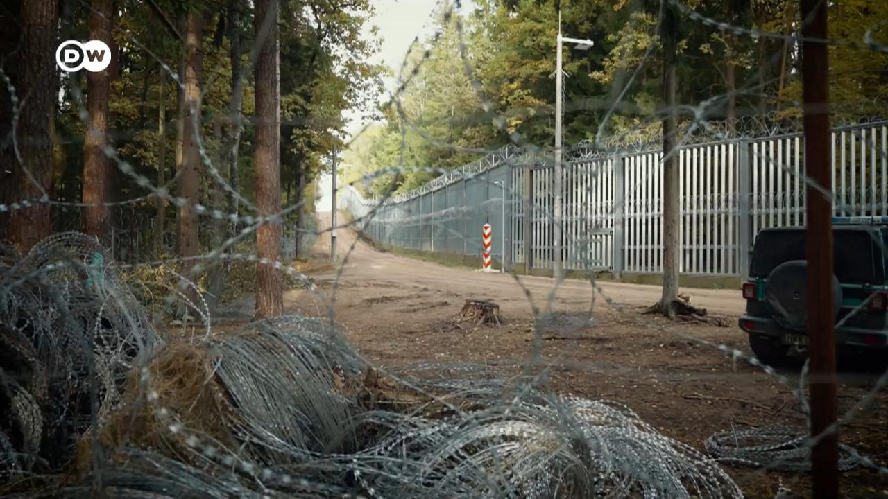 Паркан між Польщею та Білоруссю загрожує Біловезькій пущі