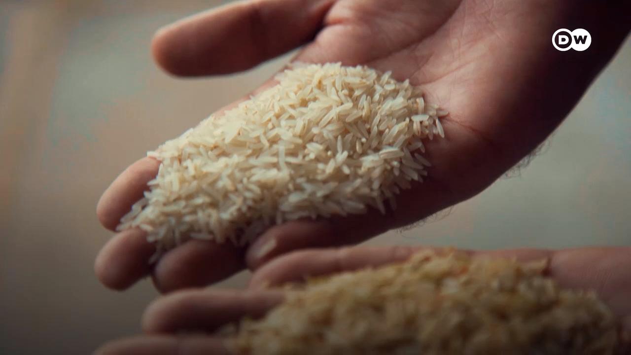 پاکستانی چاول، مگر فروخت کا لیبل ’میڈ ان انڈیا‘